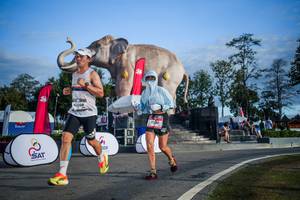 BIB: 
                            <button type="button" onclick="openModal(26541991)" class="btn btn-primary btn-sm float-right btn-popup" data-toggle="modal" data-target=".modal-high-quality">
                        <i class="fas fa-shopping-cart"></i> Add to Cart
                    </button>
                                            <button type="button" onclick="isThisMe(26541991, true)" class="btn btn-success btn-sm float-right btn-popup btn-isme hidden" data-toggle="tooltip" data-placement="bottom" title="นี่คือรูปของคุณใช่ไหม คลิกที่นี่เพื่อเอาเข้าอัลบั้ม">
                        <i class="fas fa-plus"></i> Add to album
                    </button>
                    <button type="button" onclick="isThisMe(26541991, false)" class="btn btn-warning btn-sm float-right btn-popup btn-isnotme hidden">
                        <i class="fas fa-ban"></i> Remove from album
                    </button>